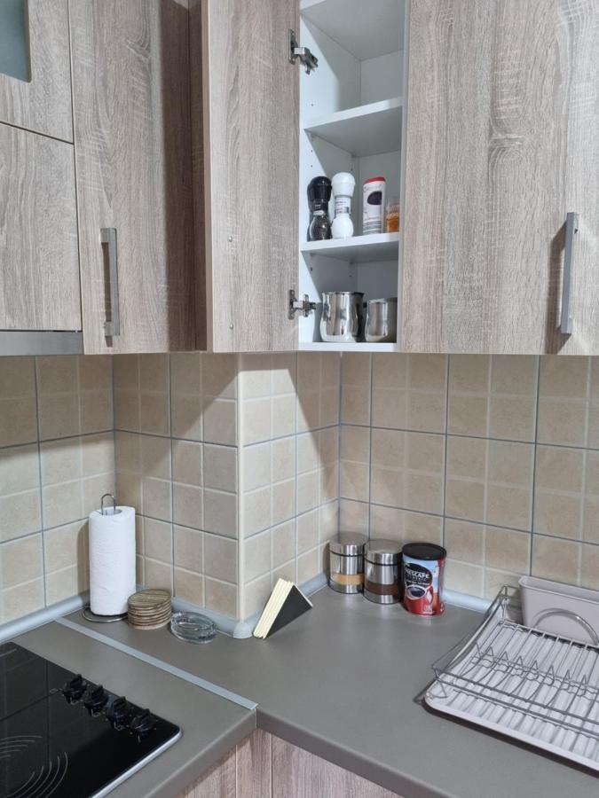 Banja Koviljača Apartman Ristanovic מראה חיצוני תמונה